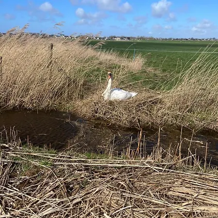 Het Buitenleven 3* Spaarndam