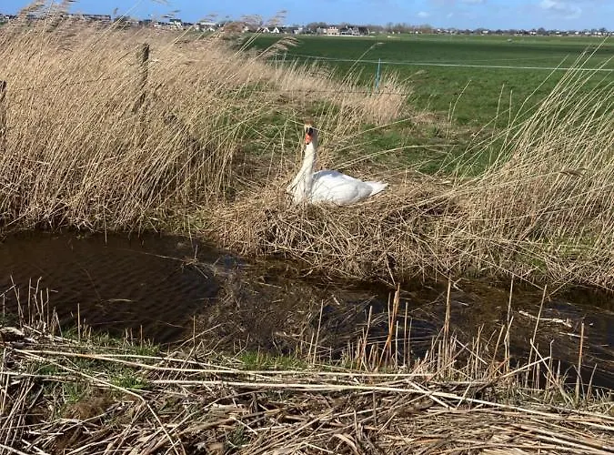 Het Buitenleven 3* Spaarndam