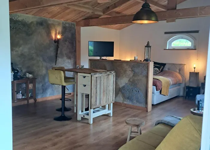 Het Buitenleven ゲストハウス Spaarndam